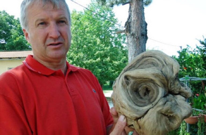 В Хорватии ученые раскопали ароматную голову пришельца 