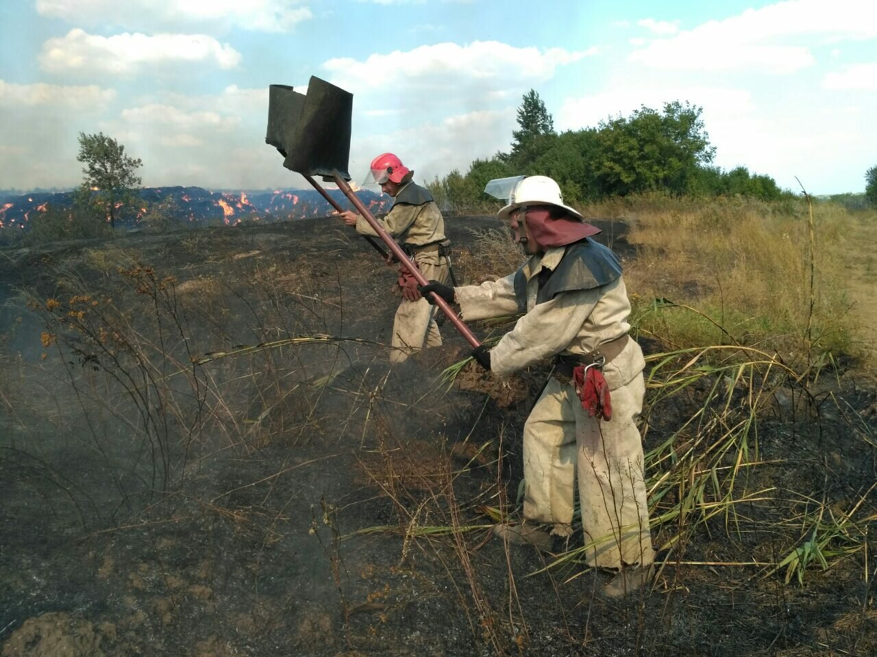 Сильный пожар в заминированном лесу возле Станицы Луганской: гремят взрывы – есть пострадавшие