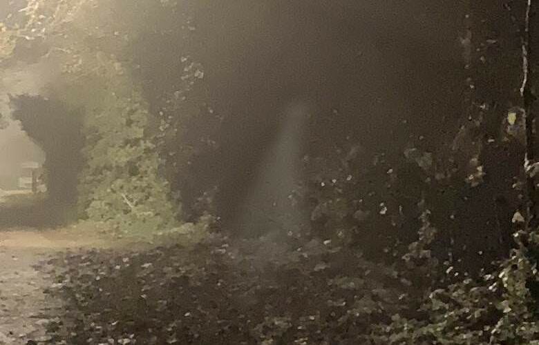 Полупрозрачный силуэт под фонарем: британец сфотографировал аномального бледного фантома 