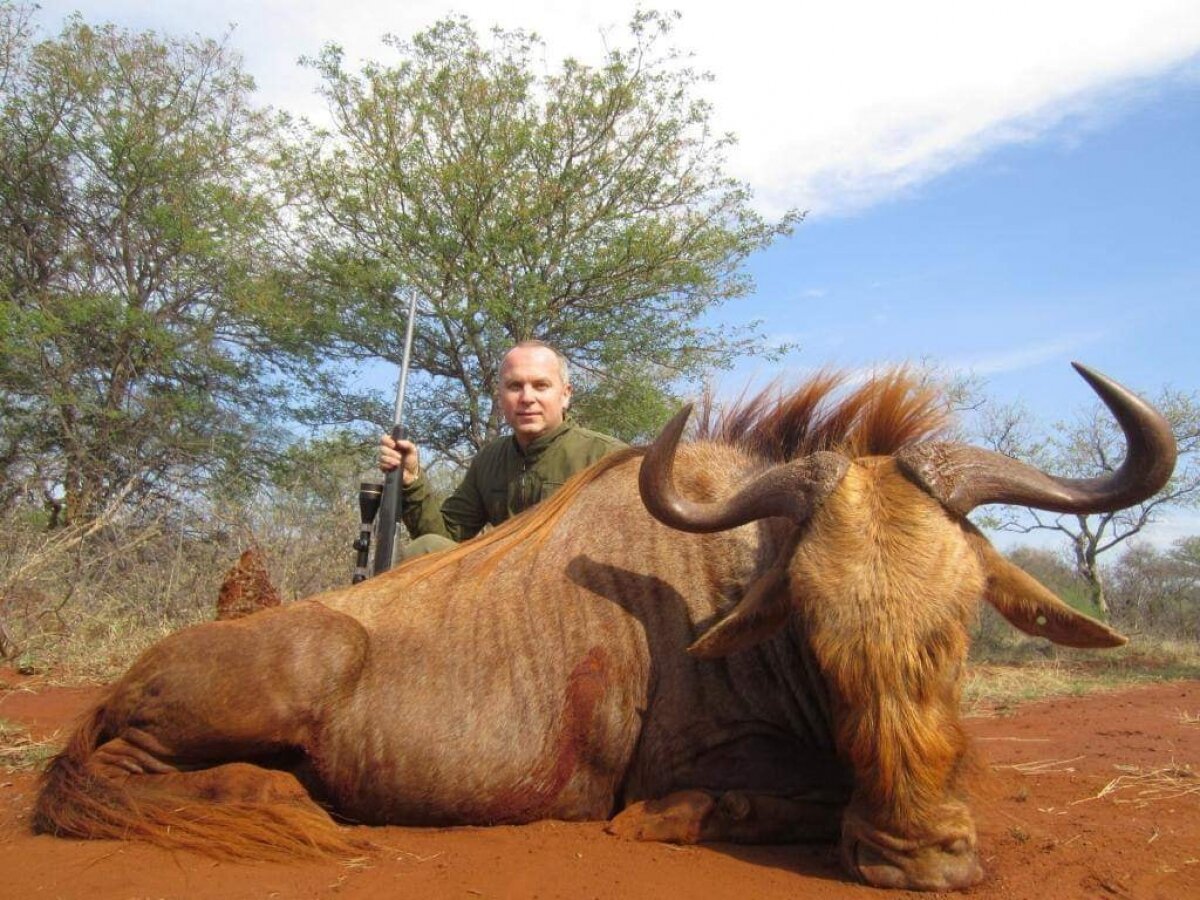 ​Депутат Шуфрич устроил охоту на животных в Намибии, чем вызвал волну протеста в Сети