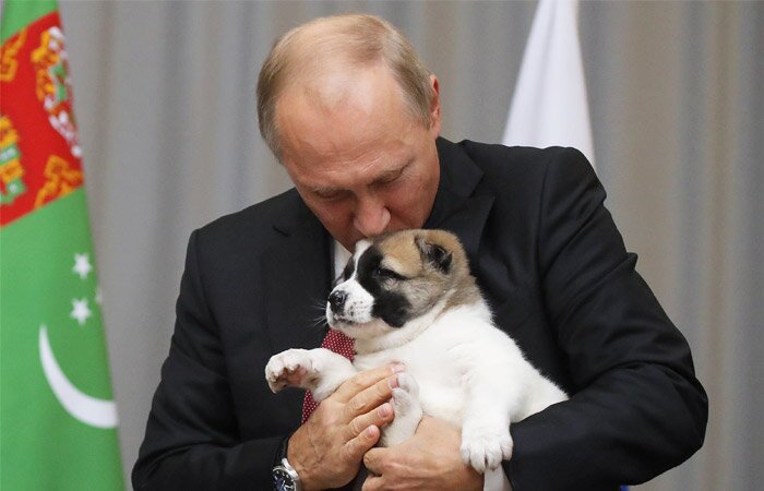 ​Президент Туркмении поздравил Владимира Путина с юбилеем, вручив щенка по кличке Верный, – кадры