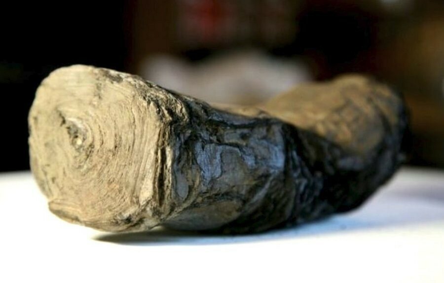 Загадочные свитки из Геркуланума будут прочитаны: ученые нашли новый способ