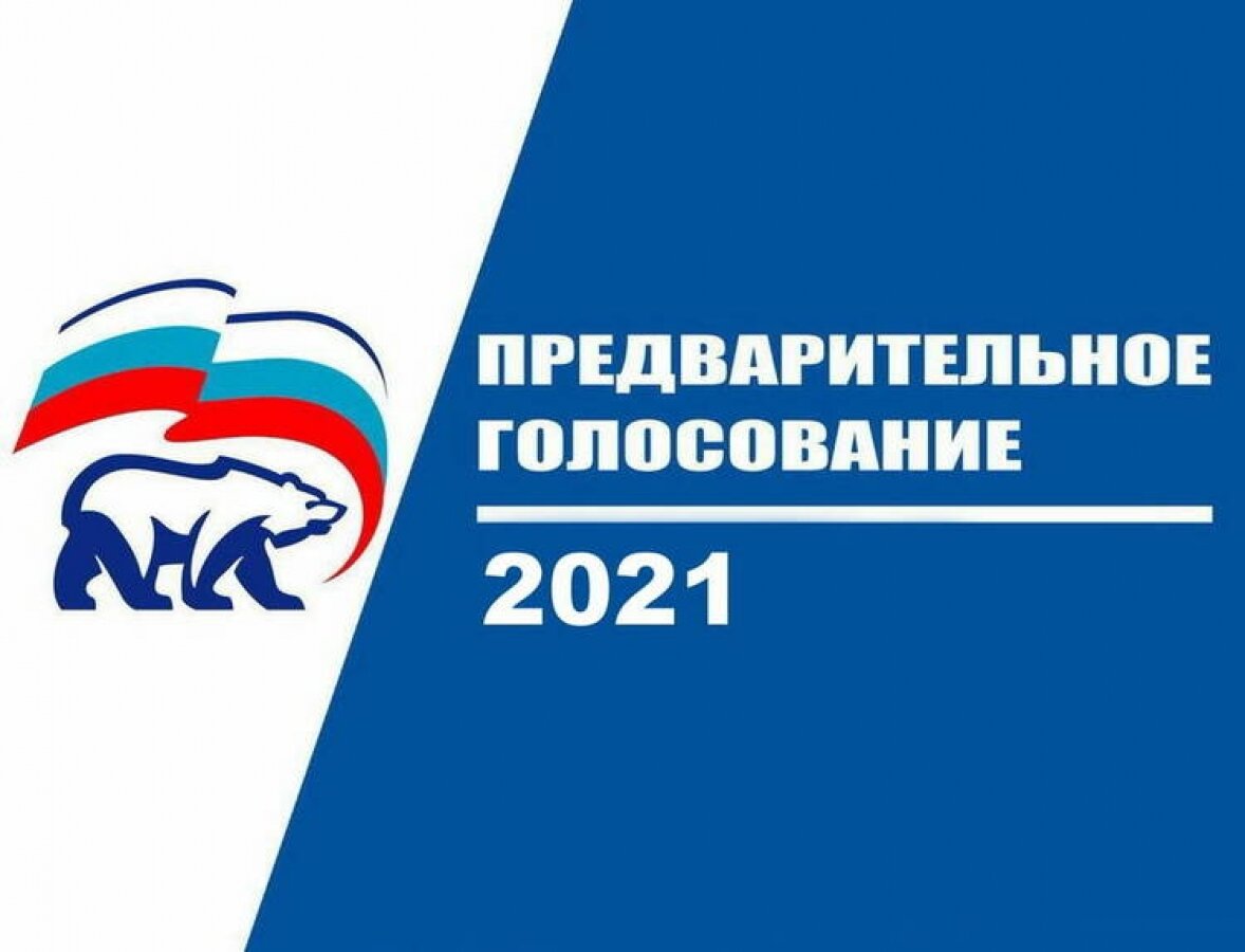 Политолог рассказал о мотивации кандидатов участвовать в предварительном голосовании «Единой России»