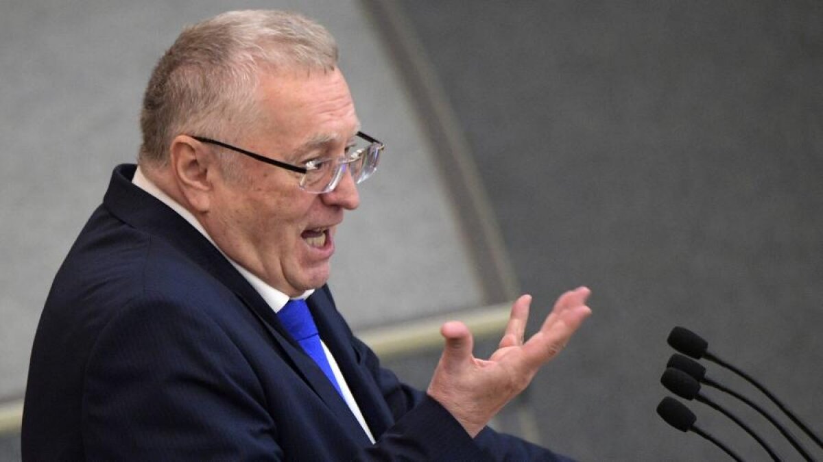 Жириновский на заседании с Путиным рассказал про кроликов: реакция Володина и Медведева бесценна 