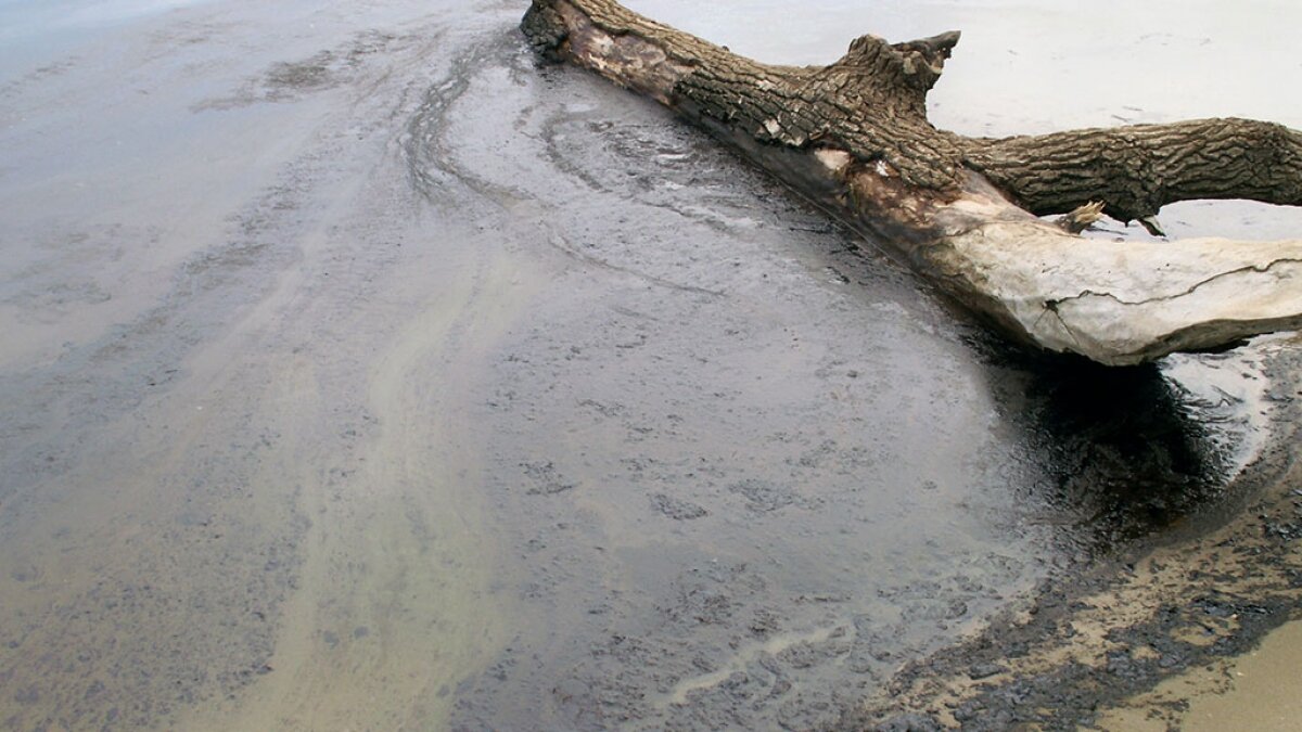 В Красноярском крае разлили нефть в реку Ангара и ввели ЧС