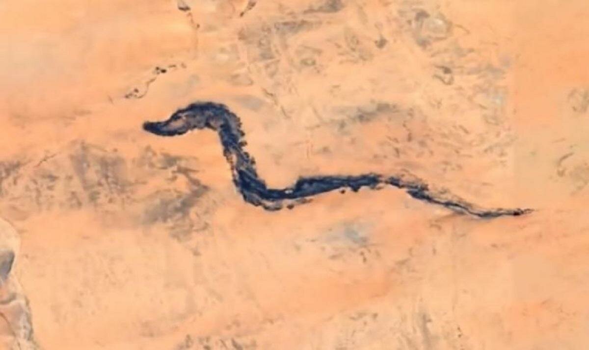 Останки мифического существа: в Мавритании ученые раскопали 9,5-километрового дракона – кадры 