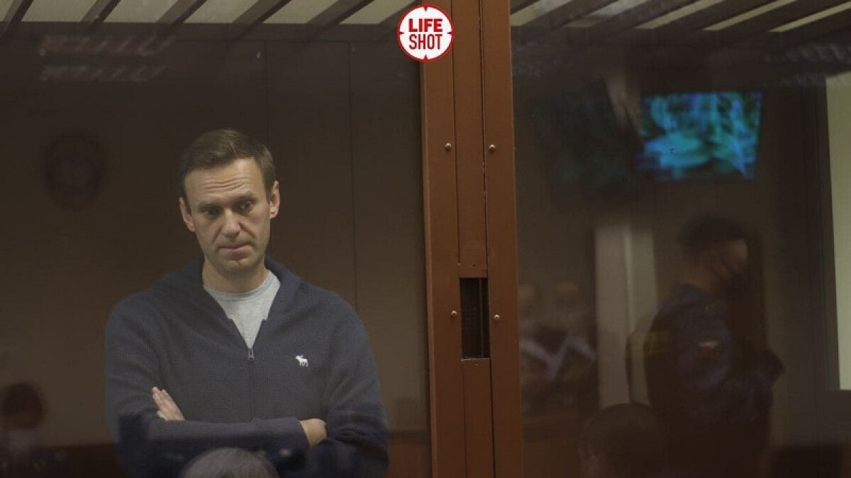 Навальный в суде обвинил внука ветерана Артеменко в "торговле дедушкой"