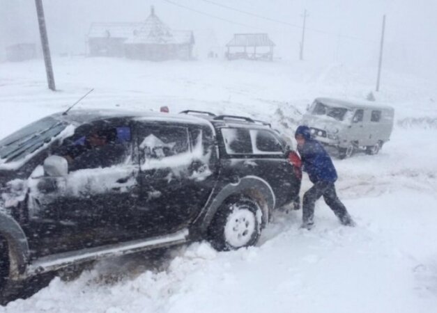На Закарпатье обрушился ураган и снегопад небывалой силы – жуткие кадры последствий природной стихии