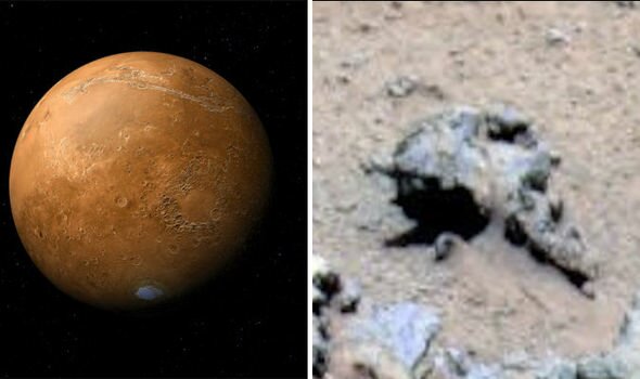 ​На Марсе была обнаружена уникальная находка, доказывающая жизнь на планете, - кадры