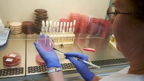 В Питере создают вакцину от COVID-19 в виде спрея