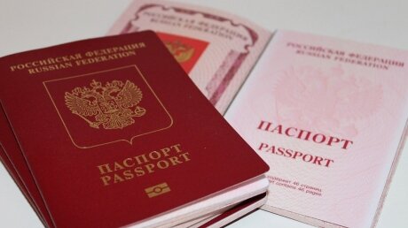 россия, минтруд, трудоустройство, прием на работу, паспорт россии
