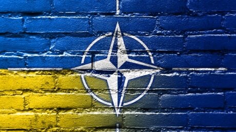 На Украине опасаются утратить территории из-за НАТО 