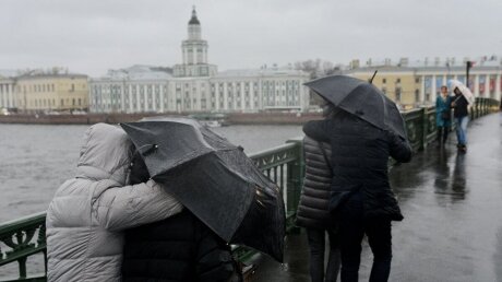 Сносит людей и деревья: появились кадры непогоды и сильнейшего ветра, бушующих в Петербурге 