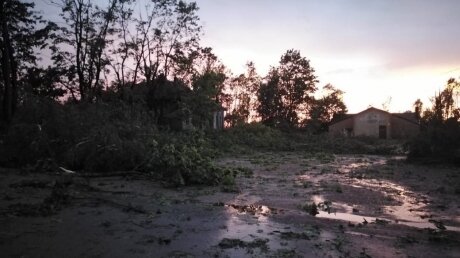 ​Шквальный ветер, ливень и град: по Псковской области пронесся ураган