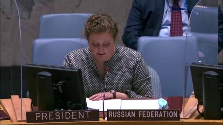 Российский дипломат Евстигнеева в ООН напомнила о правонарушениях Запада в адрес других народов