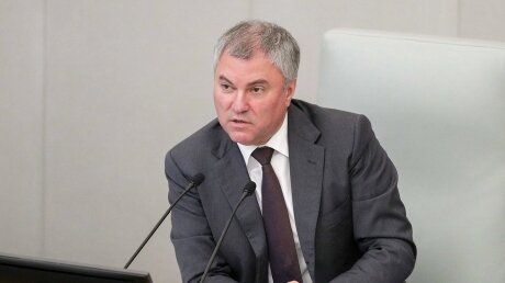 "Пока не поздно", - Володин дал совет властям Украины, как избежать Гааги 