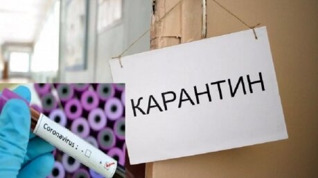 Коронавирус опустошит российские школы: Министерство просвещения рекомендует дистанционное обучение