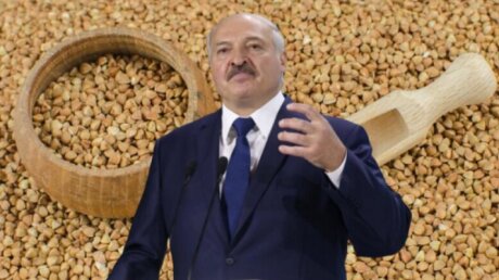 Белоруссия, Лукашенко, Гречка, Посевная, Продукты, Могилевская область, Сельское хозяйство