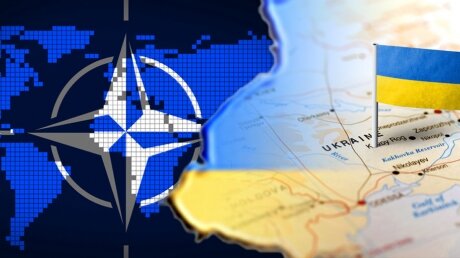 В России заверили, что НАТО не станет поддерживать Украину в борьбе за Крым