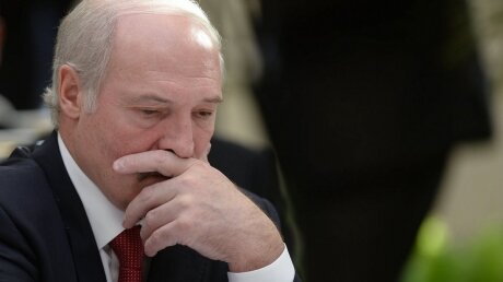 У Жириновского предрекли Лукашенко "слезы" и "судьбу Януковича"