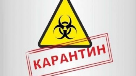 Вернулись из путешествия и заразили CОViD-19 родственницу: в Астраханской области на карантин закрыли село