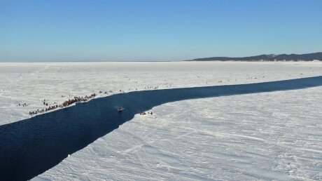 ​Эвакуировано 259 рыбаков с оторвавшейся льдины на Сахалине: опубликованы кадры с места ЧП