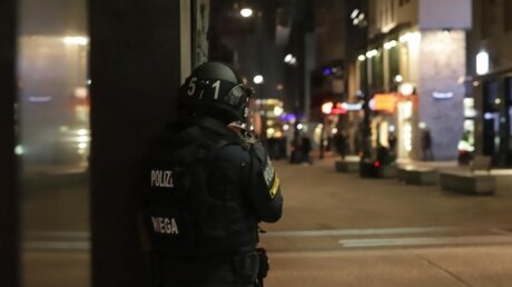 ​В Вене происходит расстрел людей – полиция в поиске преступников