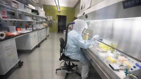 ​Китайские экспресс-тесты на коронавирус, отправленные в Испанию, оказались нерабочими
