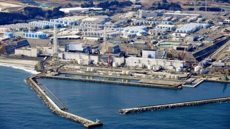 Жители Японии ответили Захаровой после сброса ядерных отходов "Фукусимы"
