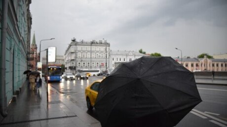 Грозы, град и порывы ветра - Москву 8 июля ожидают погодные катаклизмы