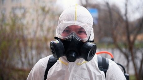 В Роспотребнадзоре допустили единичные случаи бубонной чумы в России - названы последствия