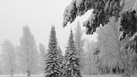 москва, зима, прогноз, погода, россия, краснодарский край, сибирь, крым, кубань, метеорологи, снег, температура, сколько градусов, холодный