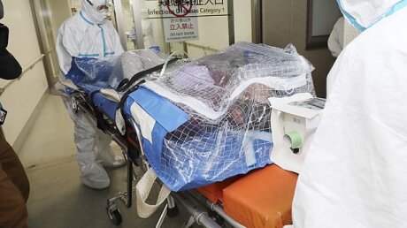 Коронавирус мог попасть в Воронеж - двое человек госпитализированы с подозрением на опасный вирус