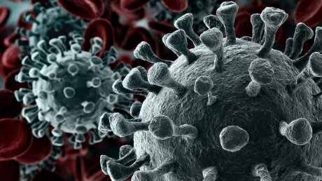 Швейцария переживает "коронавирусную катастрофу": каждый день количество зараженных увеличивается на 1000