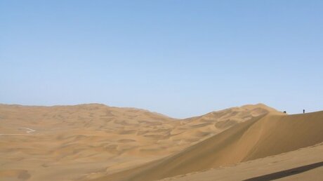 В Китае археологи наткнулись на оазис в огромной пустыне 