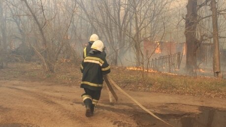 чернобыль, лес, пожар, чп, припять, происшествия, украина сегодня, потушили, фирсов