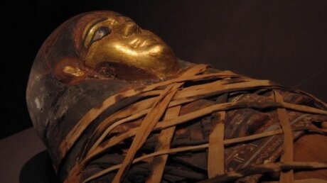 Археологи воссоздали внешность древнеегипетской принцессы Хатшепсет, жившей 4000 лет назад 