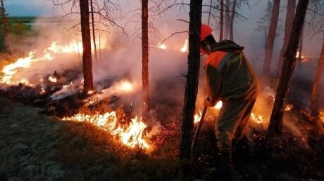 ​Краснодарский край охвачен пожарами: опубликованы кадры из заповедных лесов