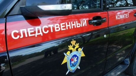 На Сахалине задержали супругов, подозреваемых в убийстве 8-летней девочки