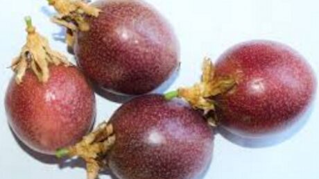 Медики рассказали о пользе экзотического фрукта маракуйи 