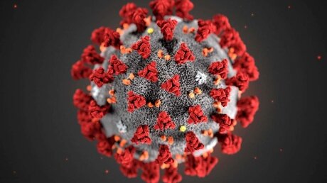 коронавирус, новый симптом, американские ученые, утрата обоняния