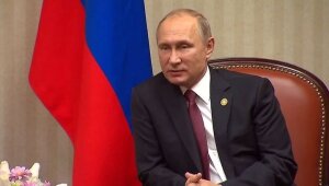 Владимир Путин, саммит АТЭС, родственники, связи, опровержение, США, вмешательство, российское досье