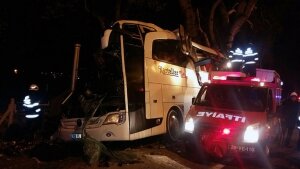 турция, дтп, пассажирский автобус, погибли люди, 17 человек, врезался в столб