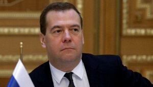 медведев, экономика, общество, санкции против россии, политика, словения