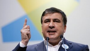 Украина, Киев, политика, Михаил Саакашвили, досрочные выборы, украинские власти, объединение демократических сил