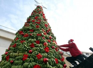 Бейрут, Ливан, Новый Год, елка, банан, Даймур, новогоднее дерево, плод