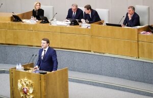 Вячеслав Володин, максим орешкин, государственная дума, правительственный час, выступление, прервал речь