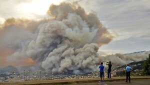 Новости России, МЧС России, происшествия, лесные пожару в Португалии 