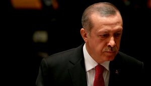 эрдоган, су-24, су, извинения эрдогана, россия, рф, турция, политика, путин