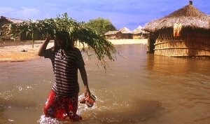 наука, Африка Ливан видео погода природные катастрофы (новости), происшествие